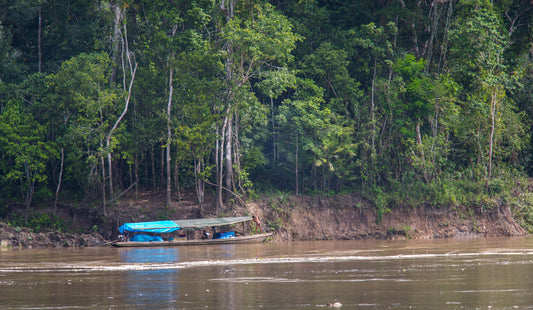Colombian Indigenous Synchronization with the Amazon Flooding Cycles